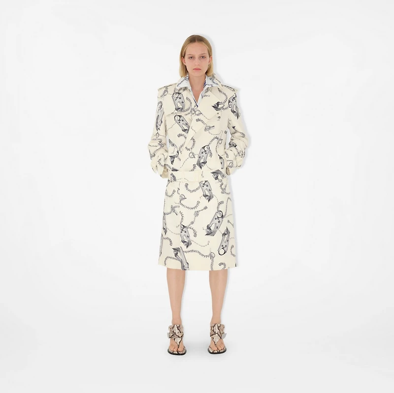 Knight Hardware Silk Shirt in Blue/white - Women | Burberry® Official