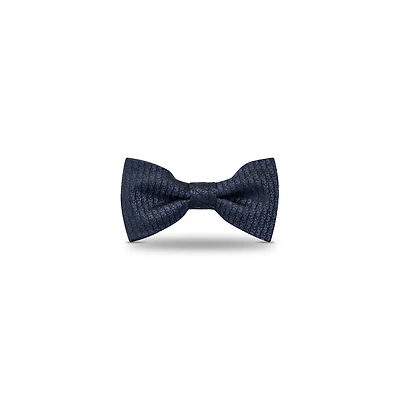 Dior Oblique Bow Tie