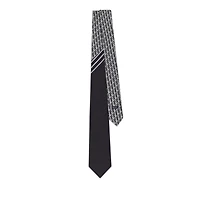 Striped Dior Oblique Tie