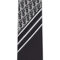 Striped Dior Oblique Tie