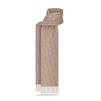 Dior Oblique Double-Sided Scarf