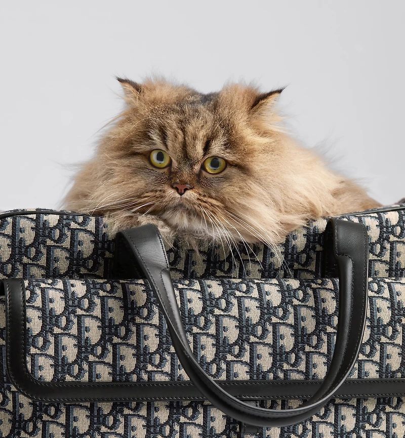 Dior Hit the Road Pet Carrier Bag