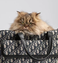 Dior Hit the Road Pet Carrier Bag