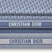 Dior Oblique Scarf