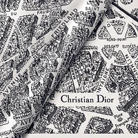 Plan de Paris Dior Diamond