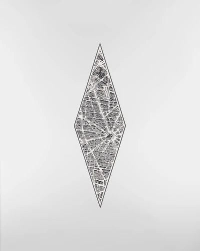 Plan de Paris Dior Diamond