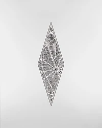 Plan de Paris Dior Diamond