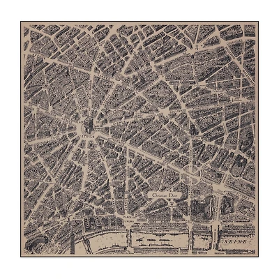 Plan de Paris Shawl