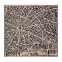 Plan de Paris Shawl