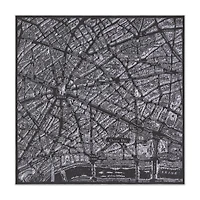 Plan de Paris Shawl