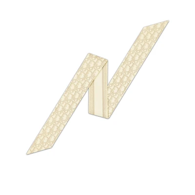 Dior Oblique Mitzah Scarf