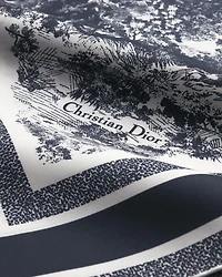 Toile de Jouy Sauvage Dior Silk Top