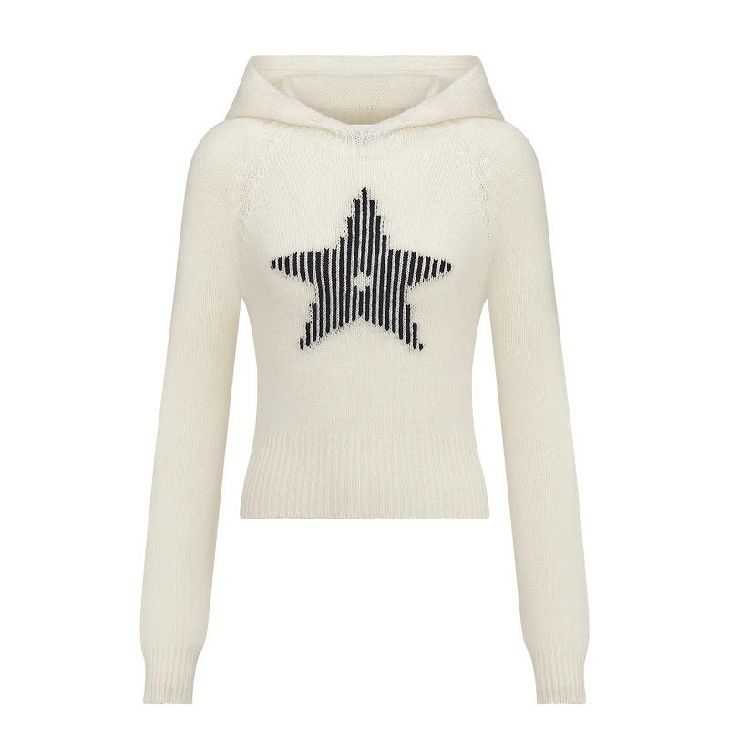 DiorAlps Hooded Sweater