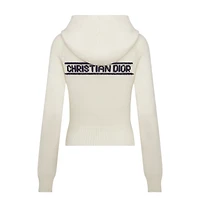 DiorAlps Hooded Sweater