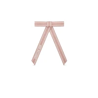 Christian Dior Embroidered Dior Twist Bow