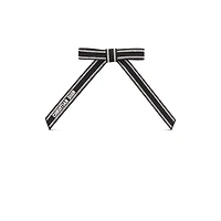 Christian Dior Embroidered Dior Twist Bow
