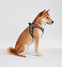 Pet Harness