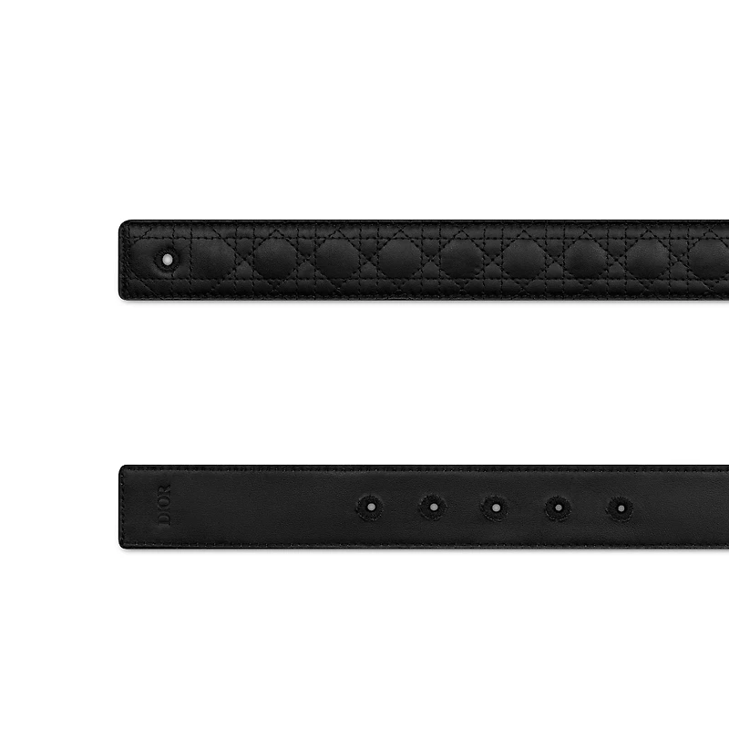 Reversible Belt Strap