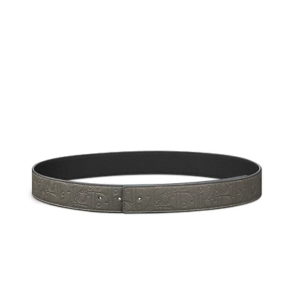 Reversible Belt Strap