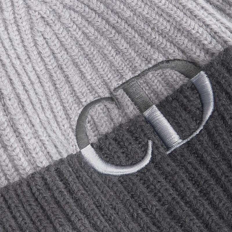 CD Icon Beanie