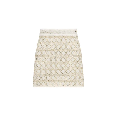 Dior Or Cannage Miniskirt