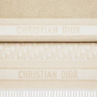 Dior Oblique Scarf