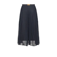 Long Transparent Skirt
