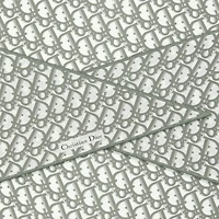 Dior Oblique Dior Diamond