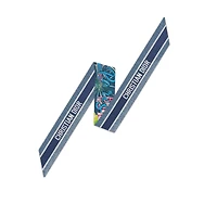 Dior Souvenir Mitzah Scarf