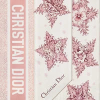 Dior Star Mitzah Scarf