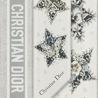 Dior Star Mitzah Scarf