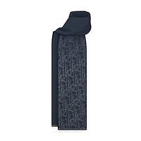 Gradient Dior Gravity Scarf