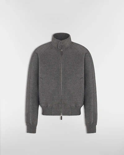 Dior Icons Harrington Jacket