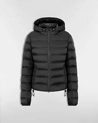 DiorAlps Hooded Down Jacket