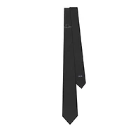 Dior Ribbon Tie