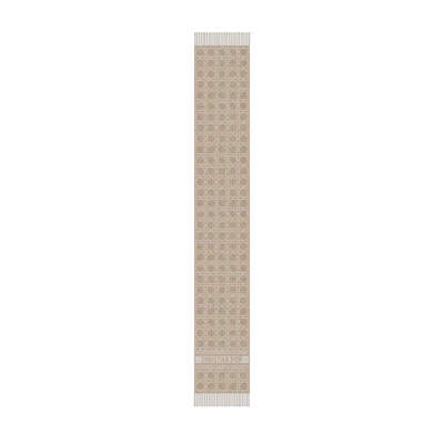 Dior Cannage Scarf