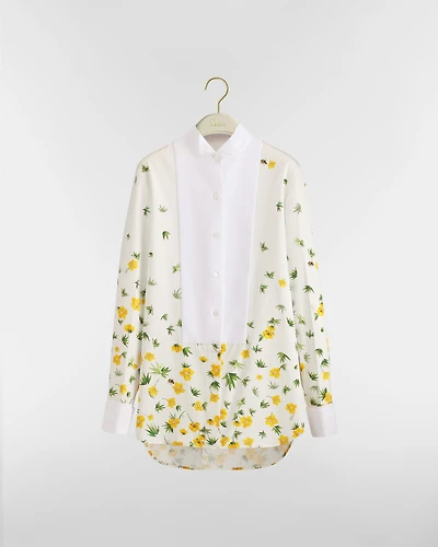 Blouse with Plastron