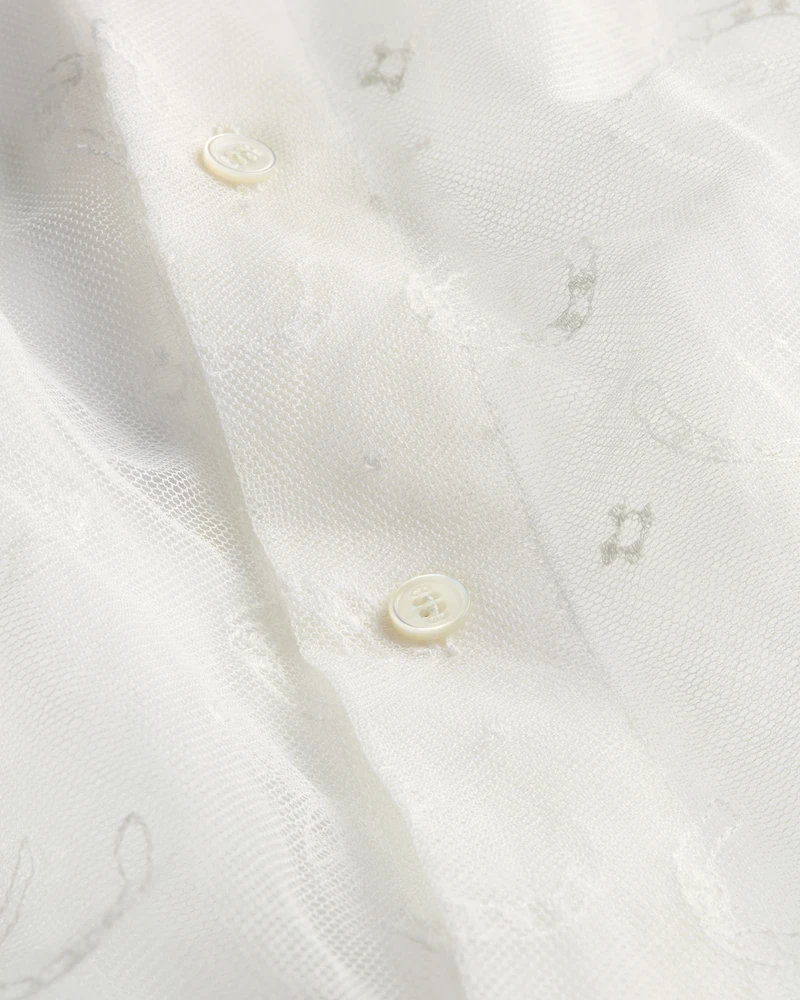 Embroidered Sheer Blouse