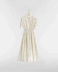 Mid-Length Belted Shirtdress
