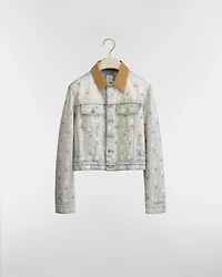 Dioramour Embroidered Jacket