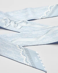 Dior Médaillon Mitzah Scarf