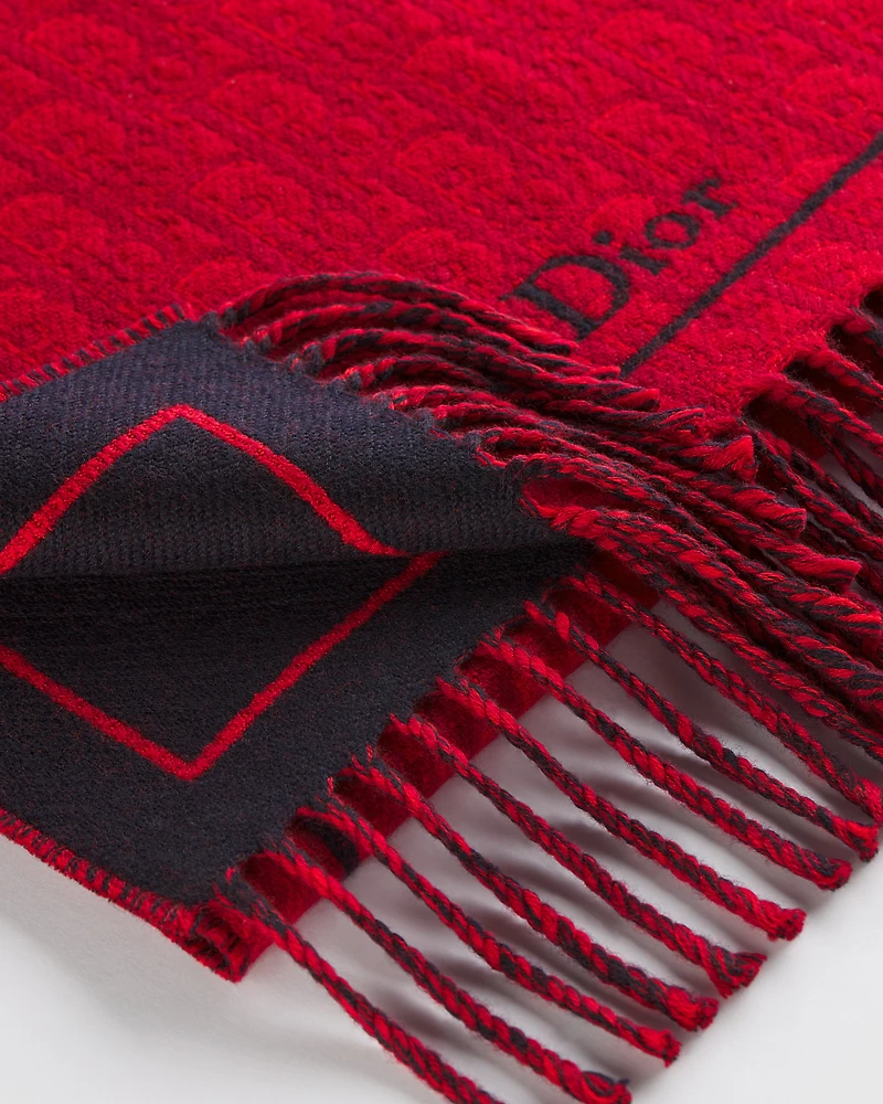 Dior Oblique Scarf