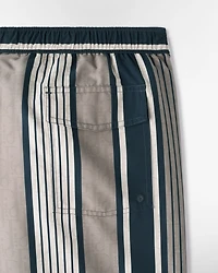 Dioriviera Dior Oblique Sun Stripes Swim Shorts