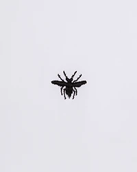 Short-Sleeved Shirt with Black Bee Embroidery