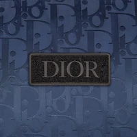 Dior Oblique Down Jacket