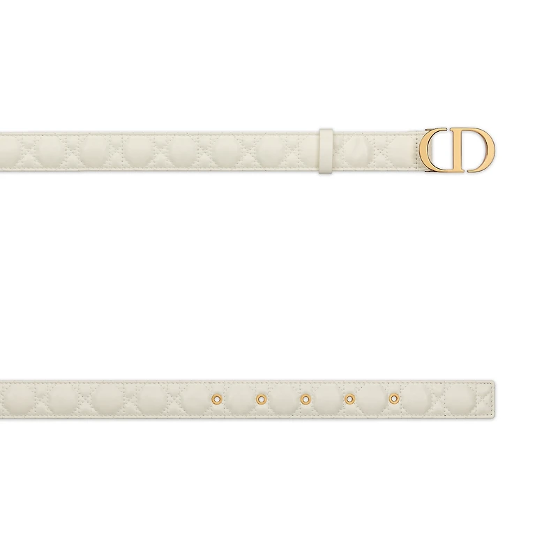 30 Montaigne Belt