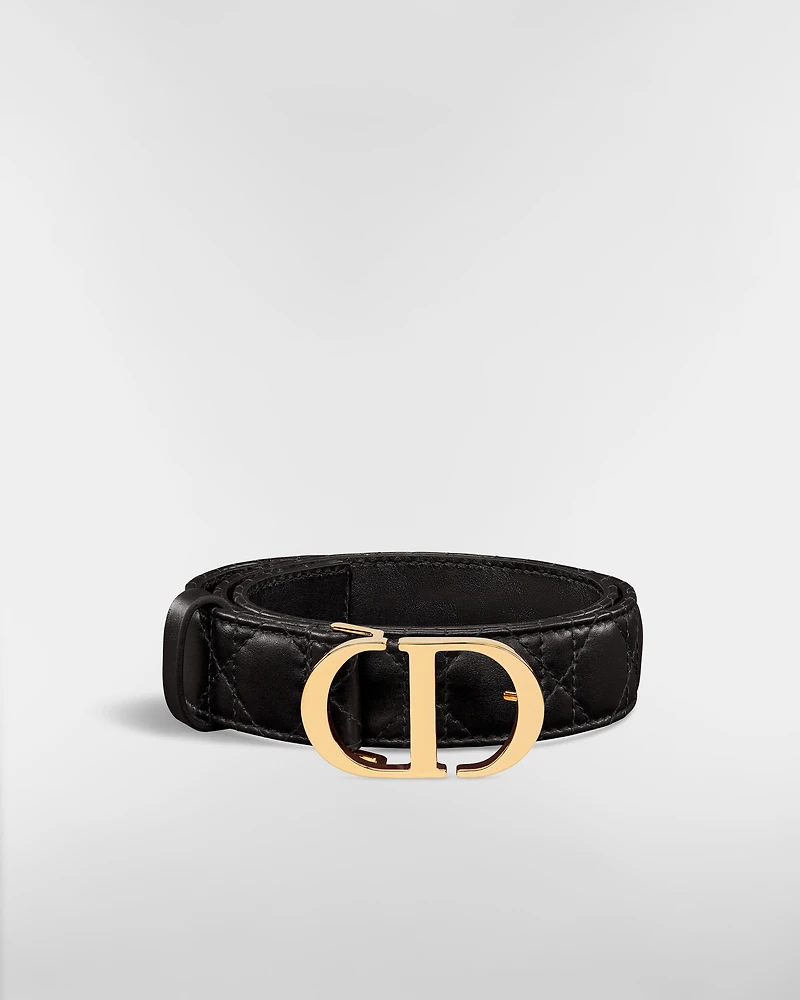30 Montaigne Belt