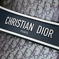 DiorClub V1U
