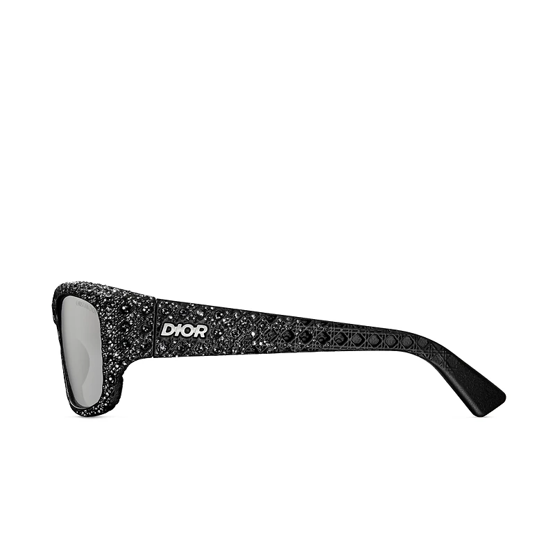 Dior3D S3I