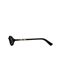 DiorTreasure R1I